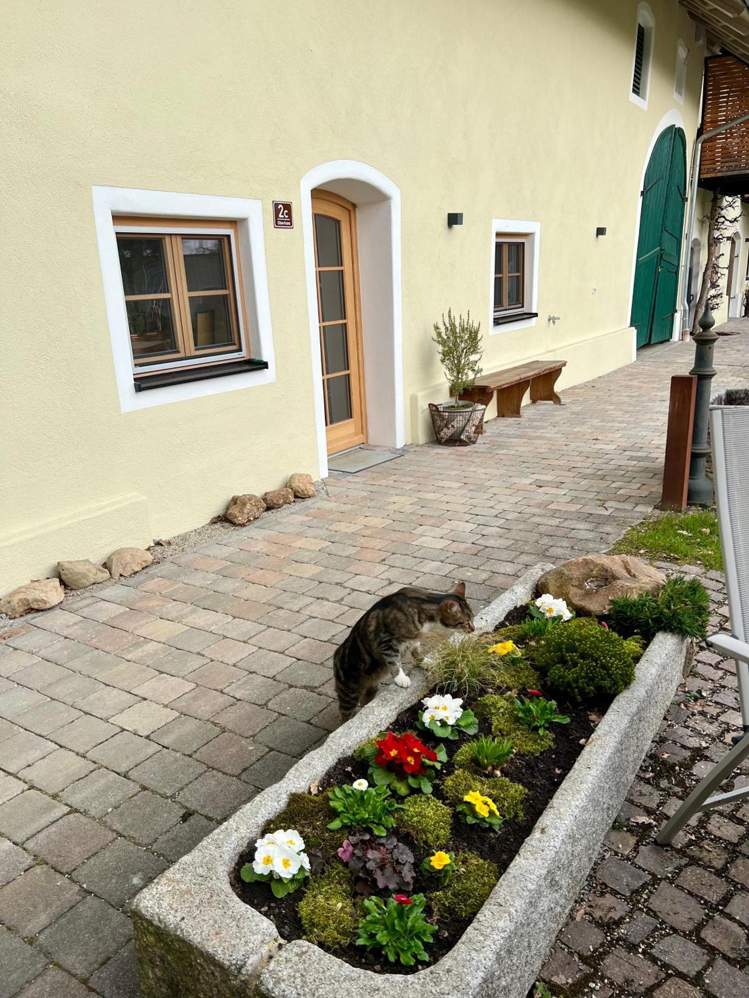 Gut Schwarz-n Hof Bad Griesbach (Bavaria)