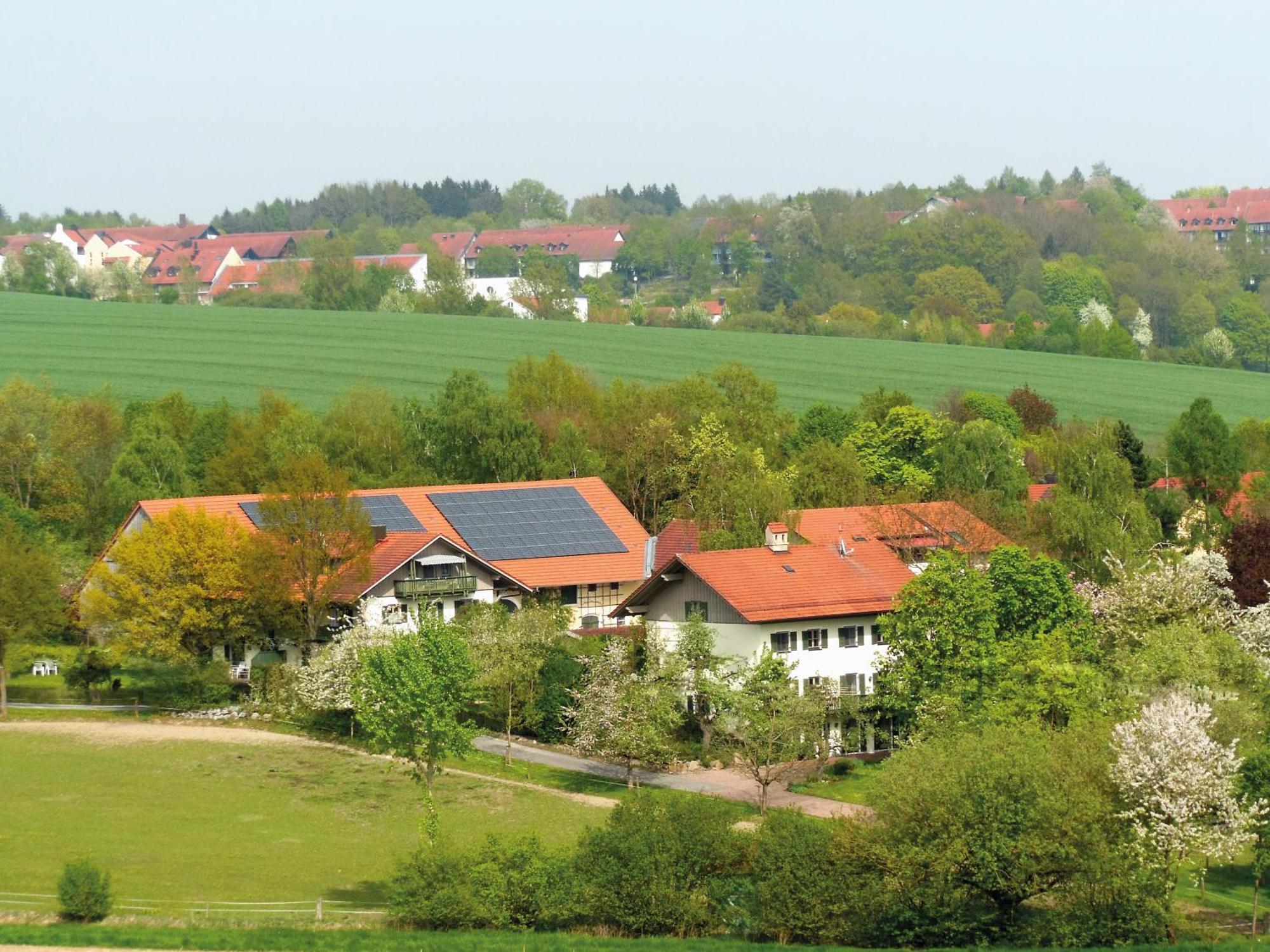 Apartment Gut Schwarz-n Hof *