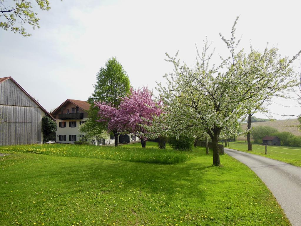 Apartment Gut Schwarz-n Hof